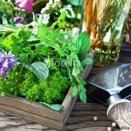 fotolia_79042328